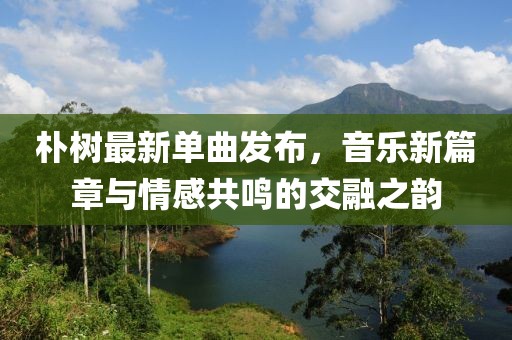朴树最新单曲发布，音乐新篇章与情感共鸣的交融之韵