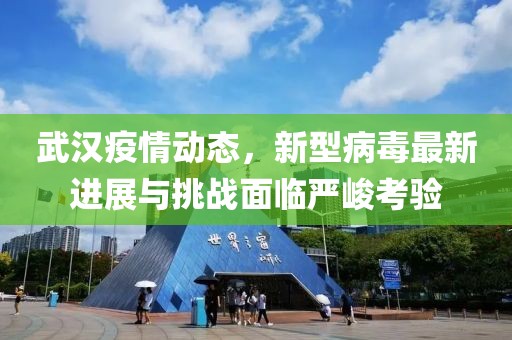 武汉疫情动态，新型病毒最新进展与挑战面临严峻考验