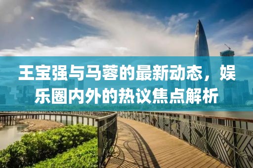 王宝强与马蓉的最新动态，娱乐圈内外的热议焦点解析