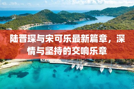 陆晋琛与宋可乐最新篇章，深情与坚持的交响乐章