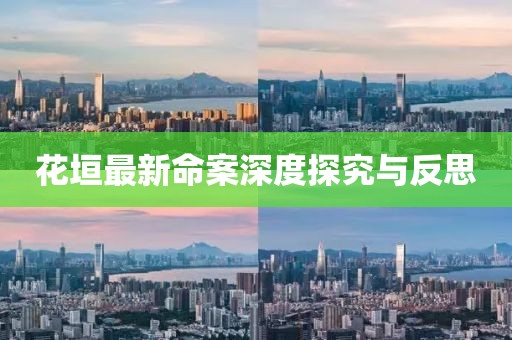 花垣最新命案深度探究与反思