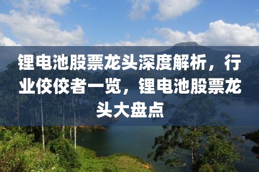 锂电池股票龙头深度解析，行业佼佼者一览，锂电池股票龙头大盘点