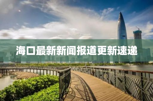 海口最新新闻报道更新速递