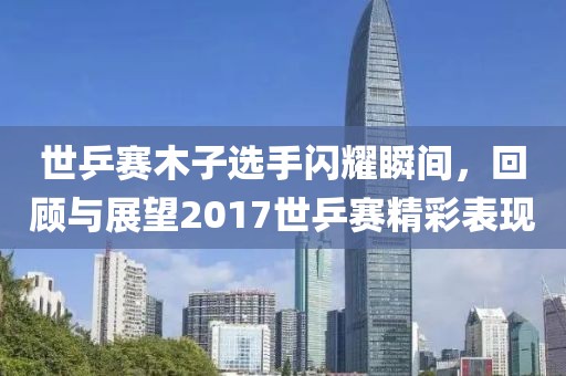 世乒赛木子选手闪耀瞬间，回顾与展望2017世乒赛精彩表现