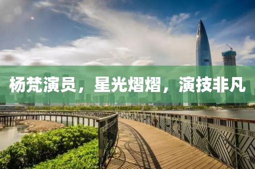 杨梵演员，星光熠熠，演技非凡