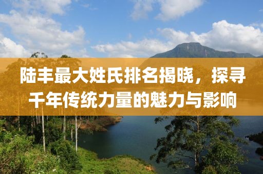 陆丰最大姓氏排名揭晓，探寻千年传统力量的魅力与影响