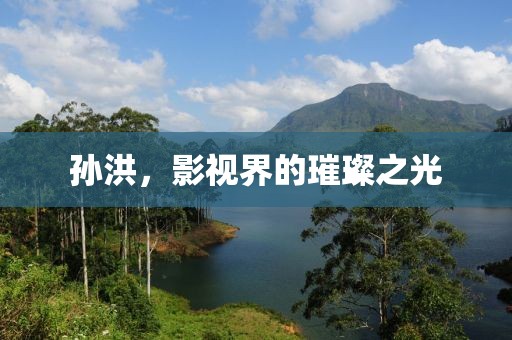孙洪，影视界的璀璨之光