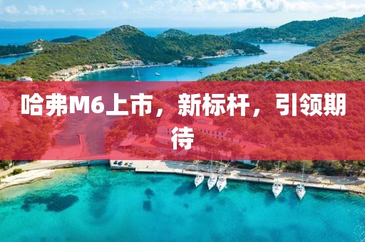 哈弗M6上市，新标杆，引领期待