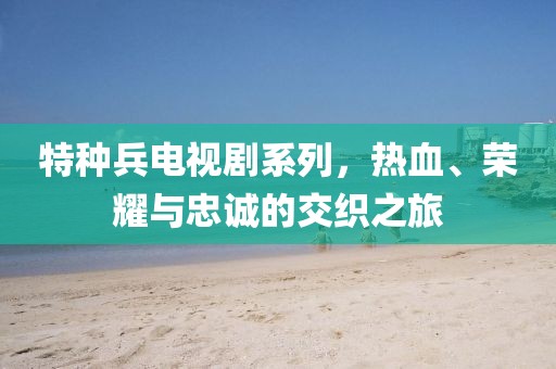 特种兵电视剧系列，热血、荣耀与忠诚的交织之旅