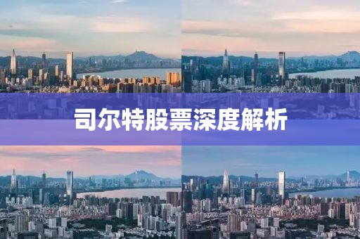司尔特股票深度解析