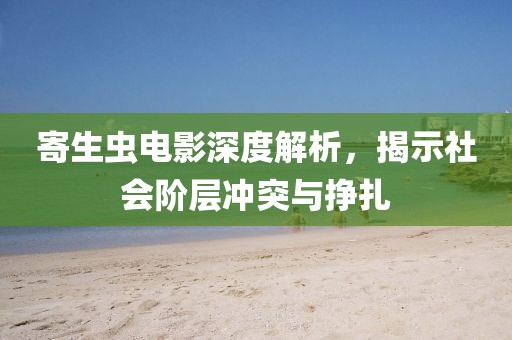 寄生虫电影深度解析，揭示社会阶层冲突与挣扎