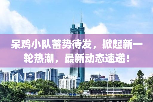 呆鸡小队蓄势待发，掀起新一轮热潮，最新动态速递！
