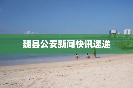 魏县公安新闻快讯速递