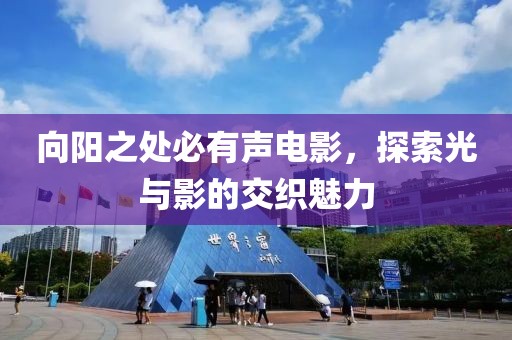 向阳之处必有声电影，探索光与影的交织魅力