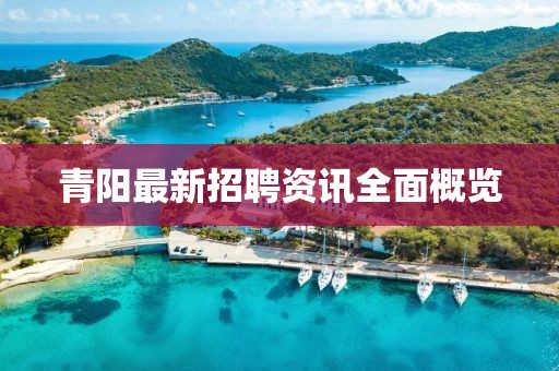 青阳最新招聘资讯全面概览