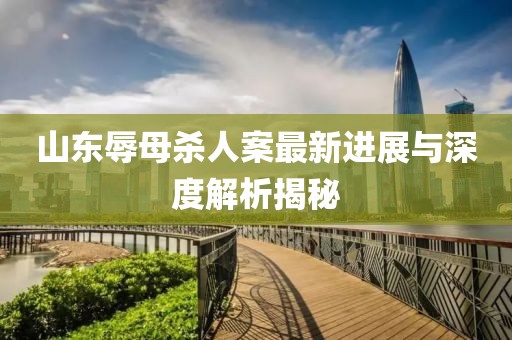 山东辱母杀人案最新进展与深度解析揭秘