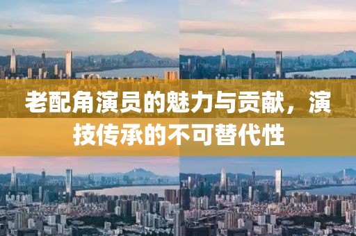 老配角演员的魅力与贡献，演技传承的不可替代性