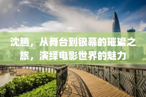 沈腾，从舞台到银幕的璀璨之旅，演绎电影世界的魅力
