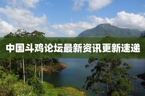 中国斗鸡论坛最新资讯更新速递