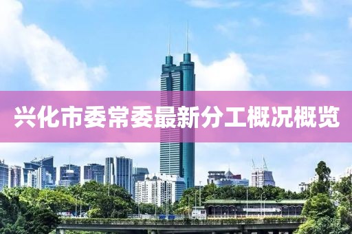 兴化市委常委最新分工概况概览