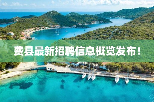 费县最新招聘信息概览发布！