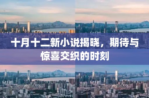 十月十二新小说揭晓，期待与惊喜交织的时刻