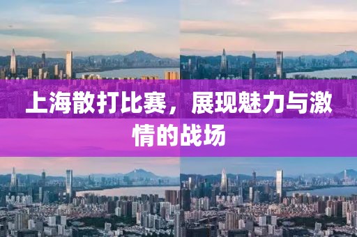 上海散打比赛，展现魅力与激情的战场