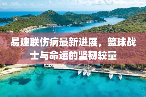 易建联伤病最新进展，篮球战士与命运的坚韧较量
