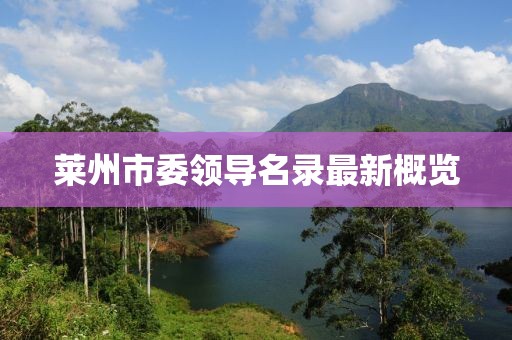 莱州市委领导名录最新概览