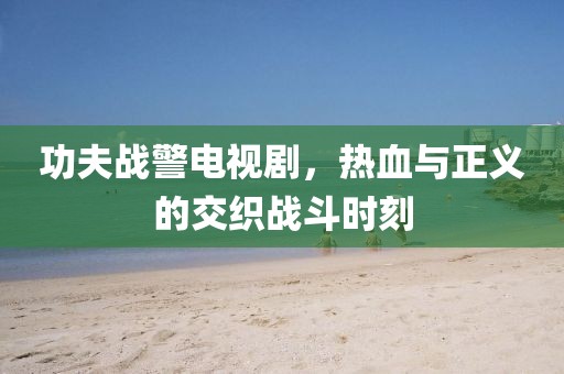 功夫战警电视剧，热血与正义的交织战斗时刻