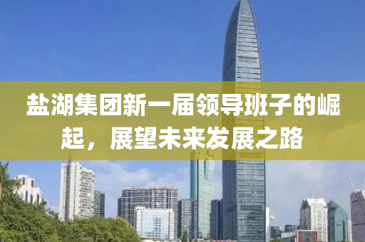 盐湖集团新一届领导班子的崛起，展望未来发展之路