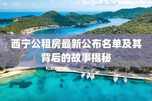 西宁公租房最新公布名单及其背后的故事揭秘