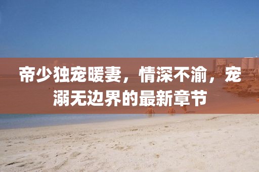 帝少独宠暖妻，情深不渝，宠溺无边界的最新章节