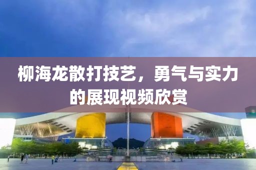 柳海龙散打技艺，勇气与实力的展现视频欣赏