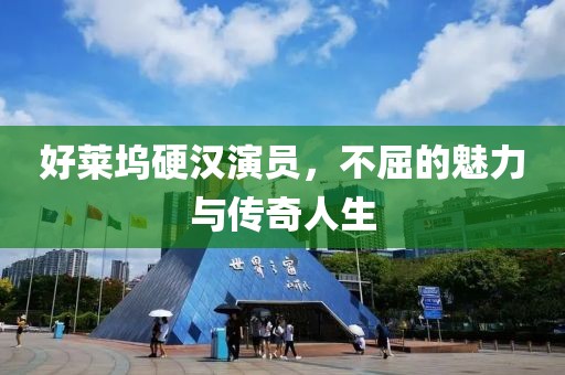 好莱坞硬汉演员，不屈的魅力与传奇人生