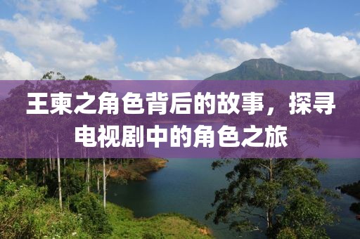 王柬之角色背后的故事，探寻电视剧中的角色之旅