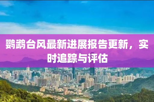 鹦鹉台风最新进展报告更新，实时追踪与评估