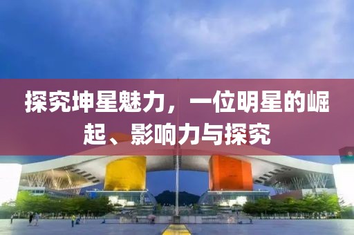 探究坤星魅力，一位明星的崛起、影响力与探究