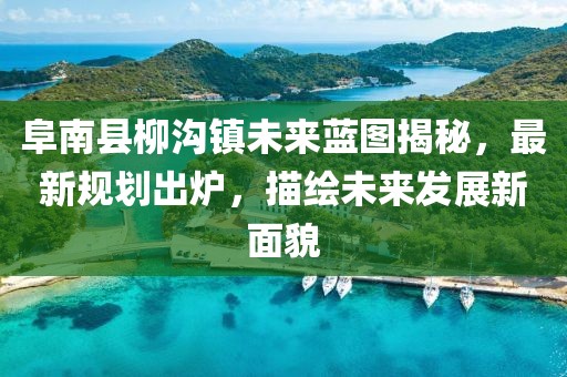 阜南县柳沟镇未来蓝图揭秘，最新规划出炉，描绘未来发展新面貌