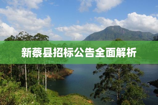 新蔡县招标公告全面解析