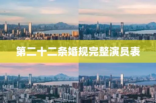 第二十二条婚规完整演员表