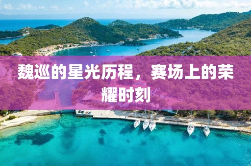魏巡的星光历程，赛场上的荣耀时刻