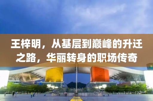 王梓明，从基层到巅峰的升迁之路，华丽转身的职场传奇