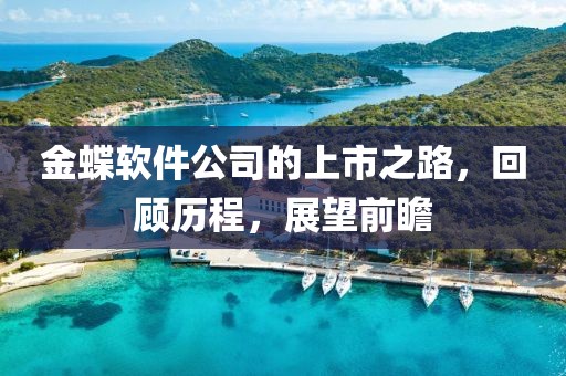 金蝶软件公司的上市之路，回顾历程，展望前瞻