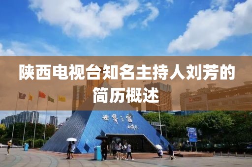 陕西电视台知名主持人刘芳的简历概述