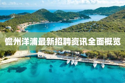儋州洋浦最新招聘资讯全面概览