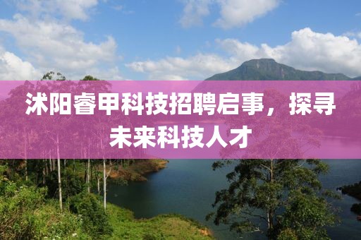 沭阳睿甲科技招聘启事，探寻未来科技人才