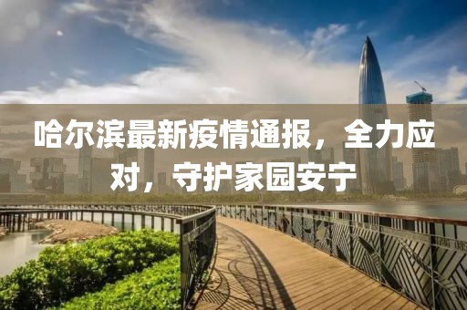 哈尔滨最新疫情通报，全力应对，守护家园安宁