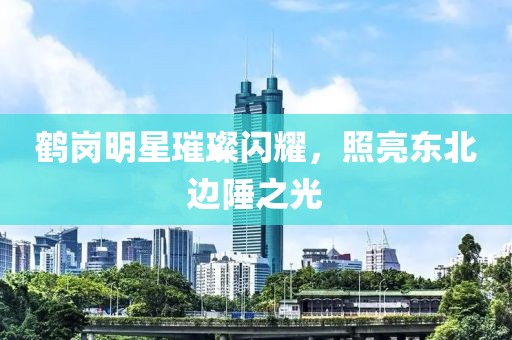 鹤岗明星璀璨闪耀，照亮东北边陲之光