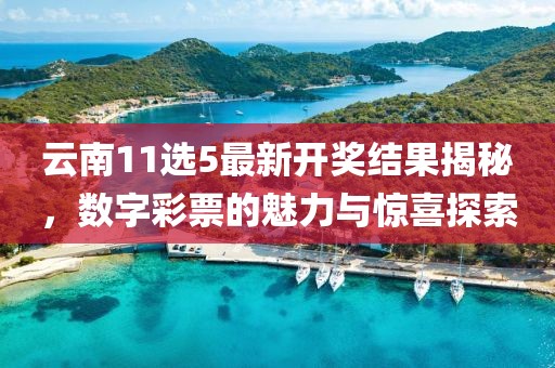 云南11选5最新开奖结果揭秘，数字彩票的魅力与惊喜探索